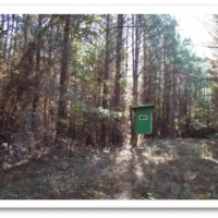 183.5 Acres in Winston County in Louisville MS images 5