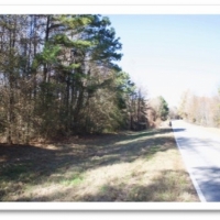 183.5 Acres in Winston County in Louisville MS images 6