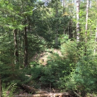 18 acres Adirondack Land at Number Four Road Near Stillwater Reservoir images 6