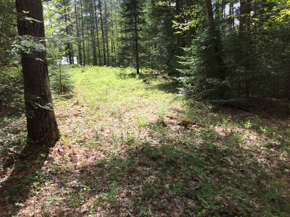 18 acres Adirondack Land at Number Four Road Near Stillwater Reservoir featured image