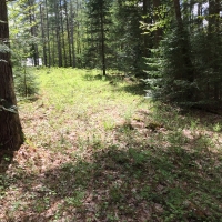 18 acres Adirondack Land at Number Four Road Near Stillwater Reservoir