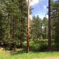 18 acres Adirondack Land at Number Four Road Near Stillwater Reservoir images 2