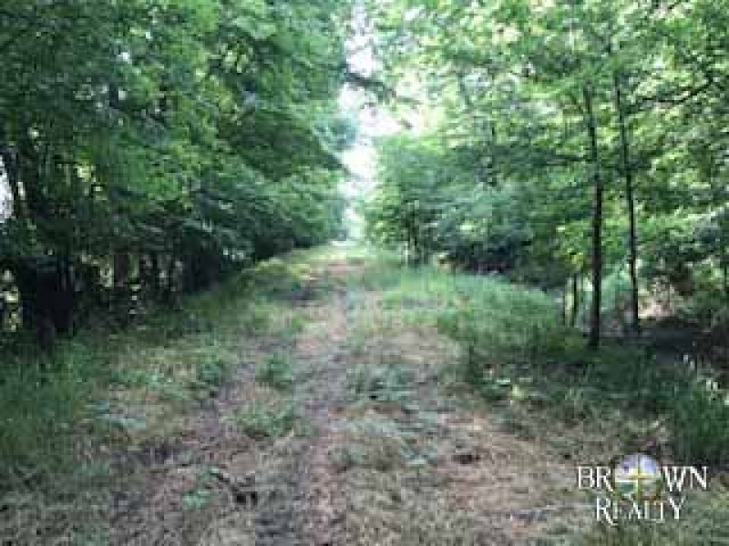 LA - Morehouse McIntosh 220 acres - featured image