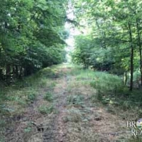 LA - Morehouse McIntosh 220 acres -