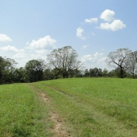 ARKANSASHUNTING ACREAGE WITH OWNER FINANCING images 6