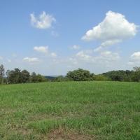 ARKANSASHUNTING ACREAGE WITH OWNER FINANCING images 4