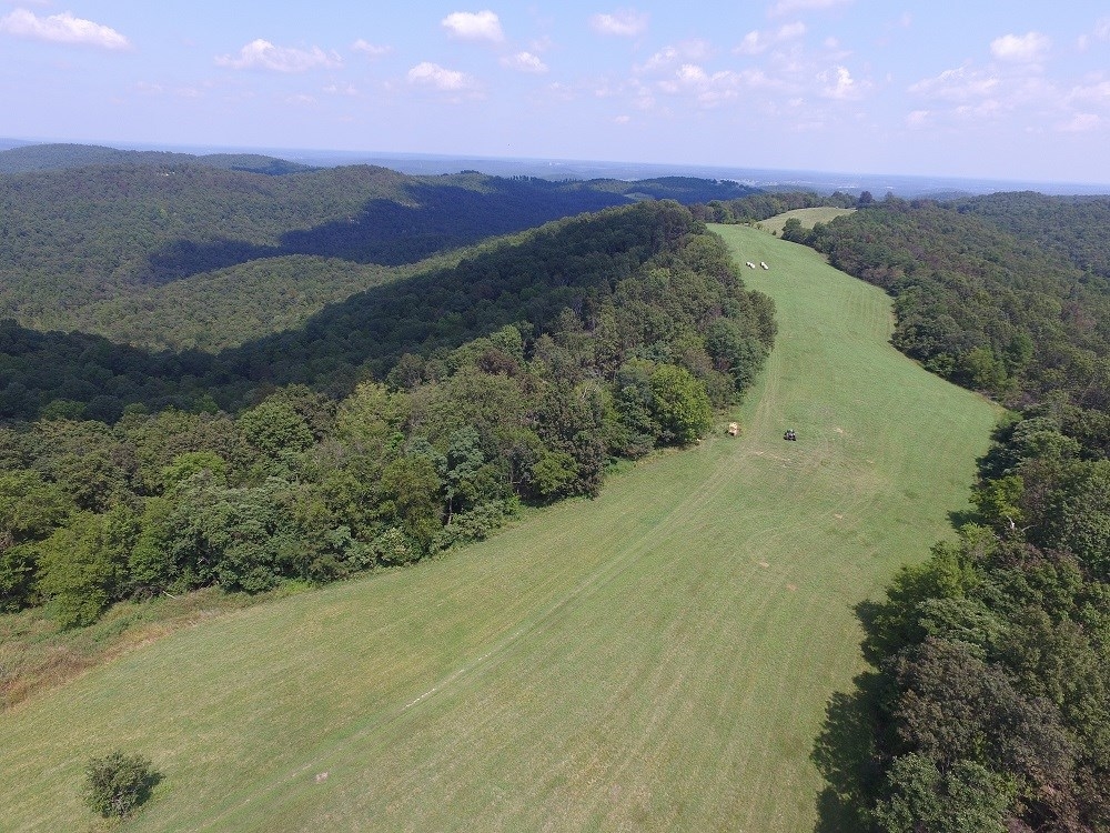 ARKANSASHUNTING ACREAGE WITH OWNER FINANCING featured image