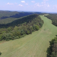 ARKANSASHUNTING ACREAGE WITH OWNER FINANCING