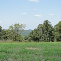 ARKANSASHUNTING ACREAGE WITH OWNER FINANCING images 5