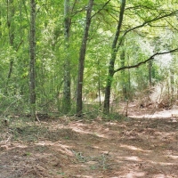24.47 Acres Land for Sale Mini Farm Hunting Southwest MS