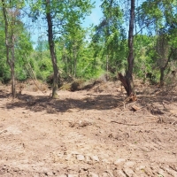 24.47 Acres Land for Sale Mini Farm Hunting Southwest MS images 4