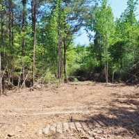 24.47 Acres Land for Sale Mini Farm Hunting Southwest MS images 6