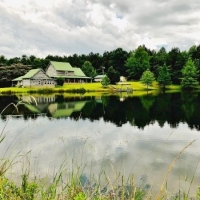 Cabin on 15.83 acres images 1