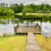 Cabin on 15.83 acres images 2
