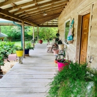 Cabin on 15.83 acres images 5