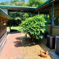 Cabin on 15.83 acres images 6