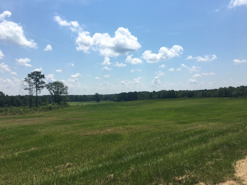 Pasture Woods featured image