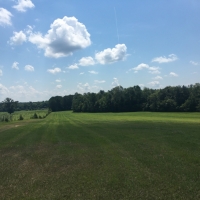 Pasture Woods images 2