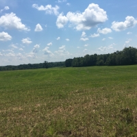 Pasture Woods images 3