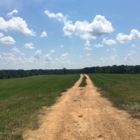 Pasture Woods images 4