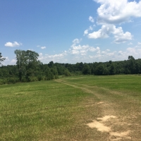 Pasture Woods images 5
