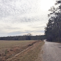 Pasture Woods images 6