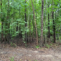 04-018-shooting-range-tract images 5