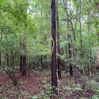 04-018-shooting-range-tract images 6