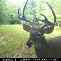 2145 Acres in Montgomery County at Walker Farms in Kilmichael MS