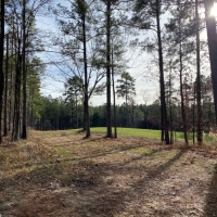 2145 Acres in Montgomery County at Walker Farms in Kilmichael MS images 3