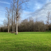 2145 Acres in Montgomery County at Walker Farms in Kilmichael MS images 5