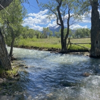 Bear Creek Estate images 3