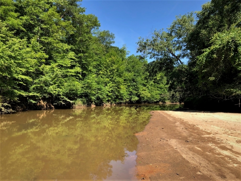 Woolsey Flint River Preserve featured image
