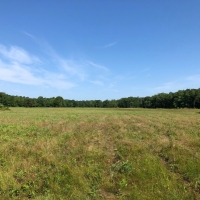 Woolsey Flint River Preserve images 2