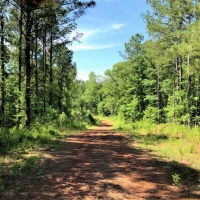 Woolsey Flint River Preserve images 5