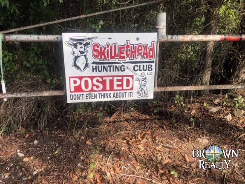 LA Madison Skillet Head 480 acres Hunting Land for Sale