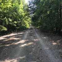 LA - Madison Skillet Head 480 acres - images 3