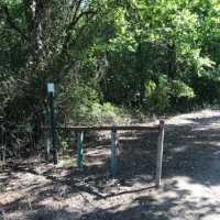 LA - Madison Skillet Head 480 acres - images 5