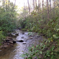 29-066-little-kowaliga-creek images 3