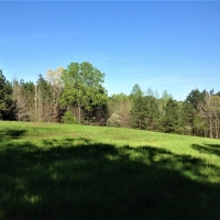 29-066-little-kowaliga-creek images 5