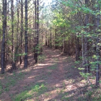 29-066-little-kowaliga-creek images 6