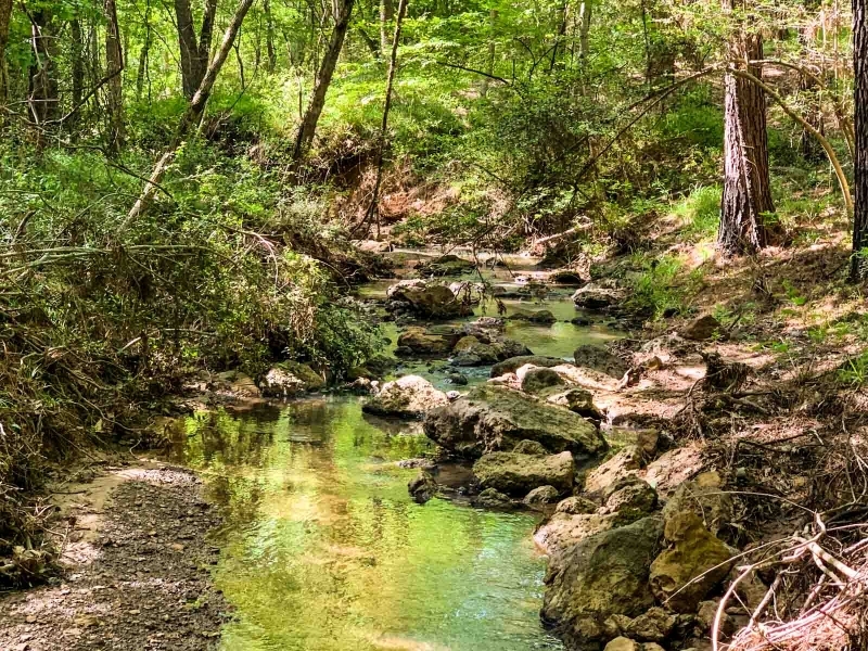 Iron Bridge Creek Ranch featured image