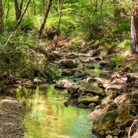 Iron Bridge Creek Ranch