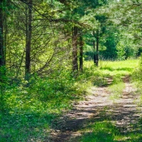 Iron Bridge Creek Ranch images 2
