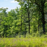 Iron Bridge Creek Ranch images 3