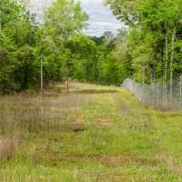 Iron Bridge Creek Ranch images 4
