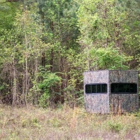 Iron Bridge Creek Ranch images 5