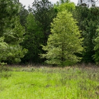 Iron Bridge Creek Ranch images 6