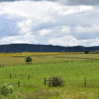 Lemon Hill Ranch