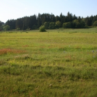 Lemon Hill Ranch images 2
